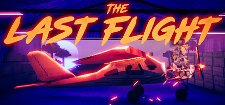 最后的飞行/The Last Flight
